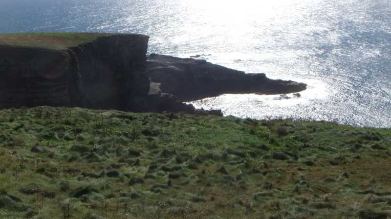 DSCF5283.jpg