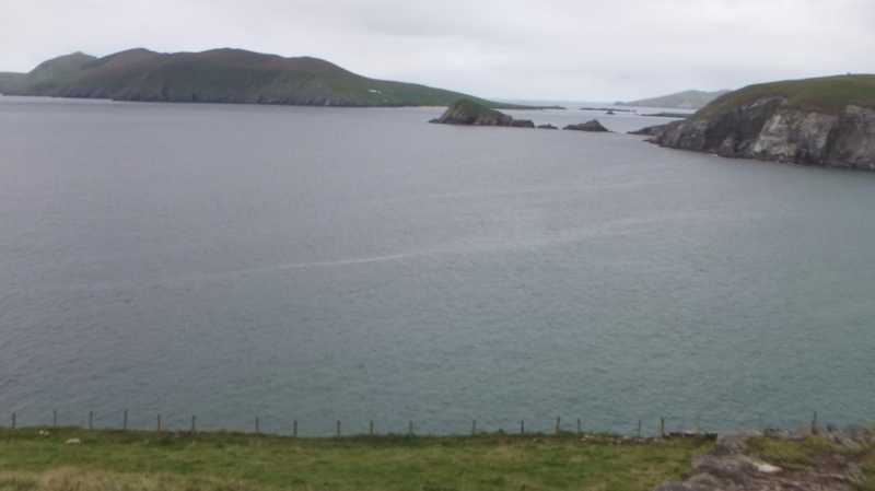 DSCF5323.jpg