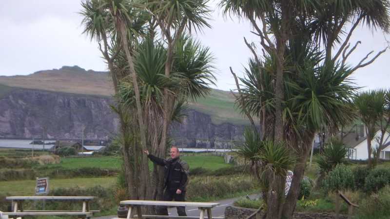 DSCF5328.jpg