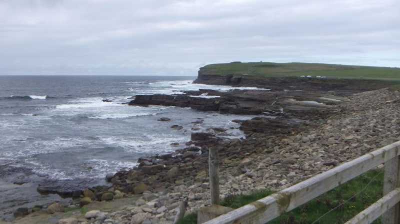 DSCF5373.jpg