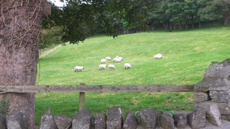 DSCF5391.jpg