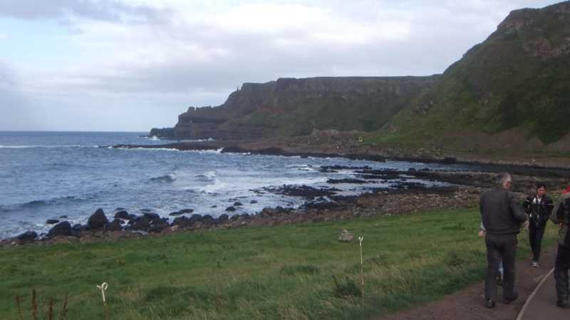 DSCF5446.jpg