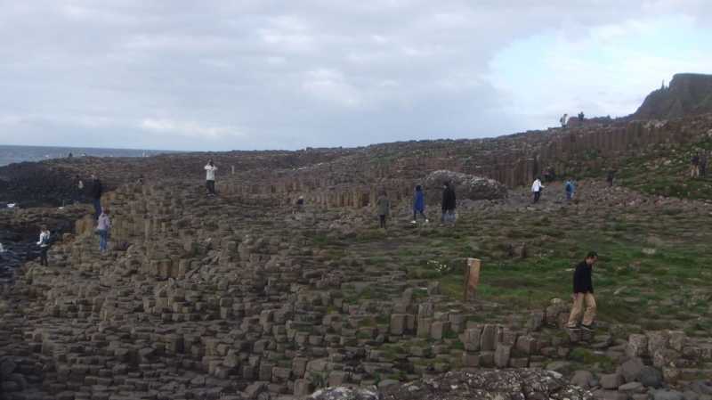 DSCF5448.jpg
