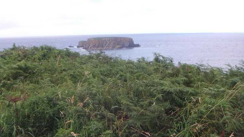 DSCF5453.jpg