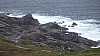 DSCF5436.jpg