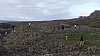 DSCF5448.jpg