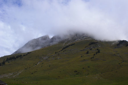 CIMG0611