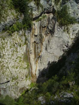 PICT0642