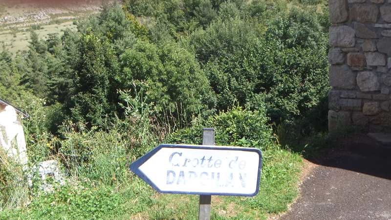 DSCF4426