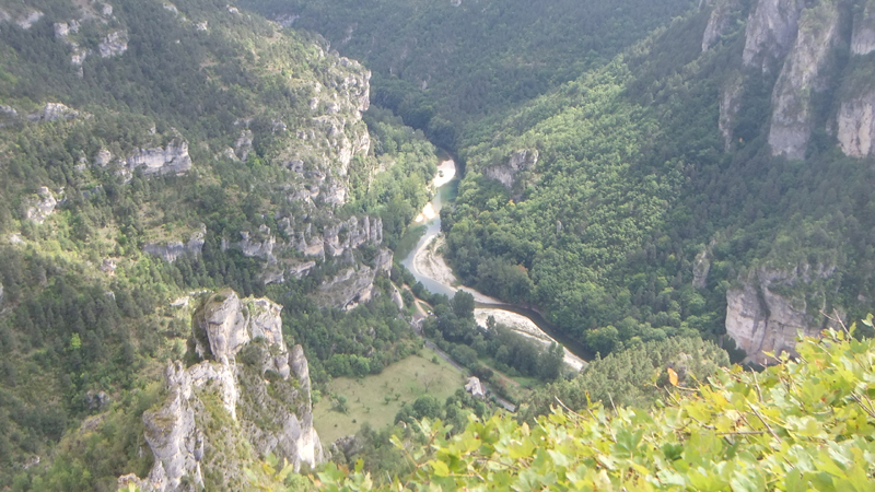 DSCF4527