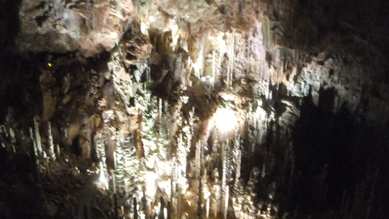 DSCF4537