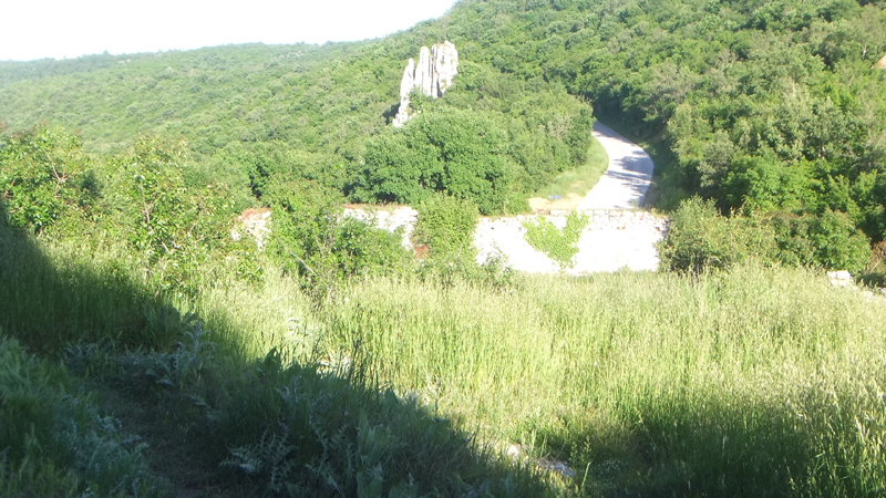 DSCF4093
