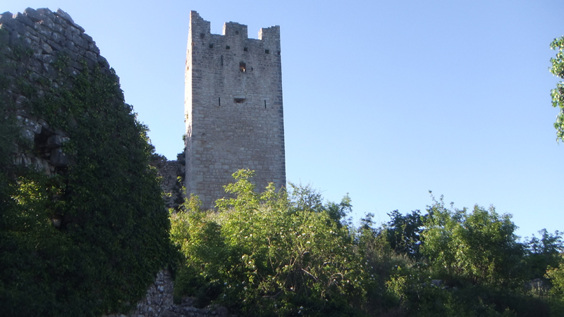 DSCF4094