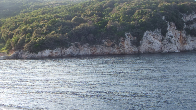 DSCF4138