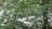 DSCF4041
